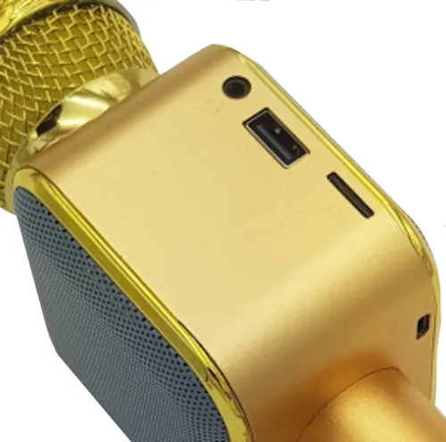Бездротовий мікрофон караоке Wster WS-1818 Bluetooth USB AUX FM з вбудованою колонкою і функцією зміни голосу на акумуляторі в чохлі Золотий