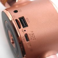Бездротовий Bluetooth мікрофон для караоке WS668 з чохлом