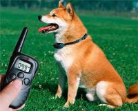 Навчальний електро нашийник для тренування собак Remote pet dog Training Collar з LCD дисплеєм, електронний нашийник для дресирування на батарейках