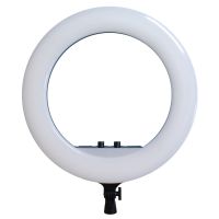 Студійна кільцева LED лампа Ring Fill Light RL - 21 60W зі штативом 54 см 21 " Професійна Світлодіодна для фото, Селфи кільце з пультом і сумкою