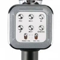 Бездротовий мікрофон караоке Wster WS-1818 Bluetooth USB AUX FM з вбудованою колонкою і функцією зміни голосу на акумуляторі в чохлі WS1818