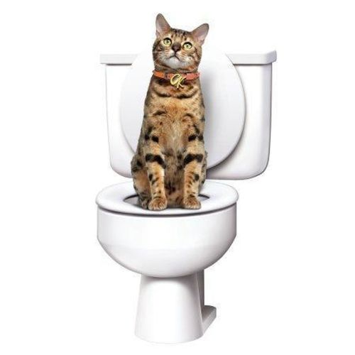 Набір для привчання кішки до туалету Citi Kitty Cat Toilet Training Kit, система привчання кішок до унітазу CitiKitty