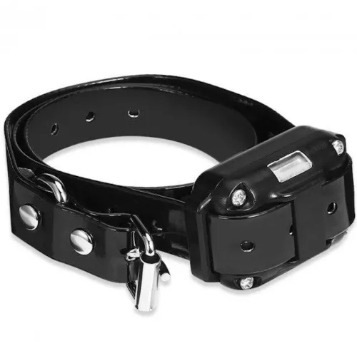 Електричний нашийник dog Training Collar DTC-800 анти гавкіт з пультом управління для контролю і дресирування собак, дресирувальний електронашийник