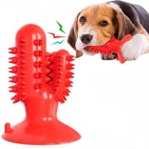 Жувальна іграшка для собак Bronzedog PetFun Dental кактус для чищення зубів на присосці з отвором для їжі, Зубна щітка для чищення Бронзедог