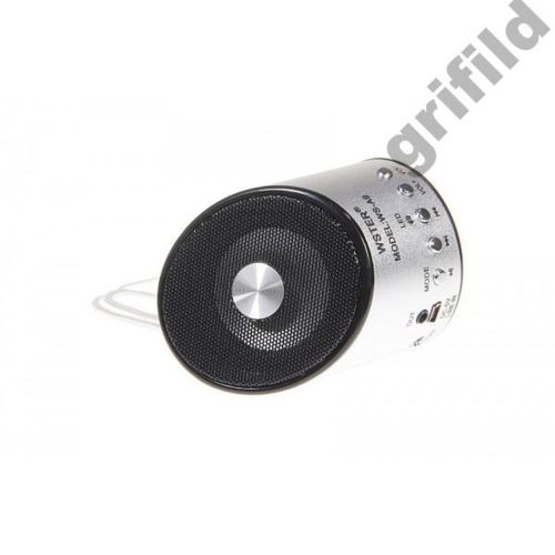 Мини портативная MP3 колонка от USB FM WS-A9