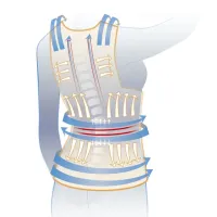 Фіксуючий коректор правильної постави Back Pain Need Help грудопоперековий корсет для вирівнювання спини і плечей, бандаж, жилет пояс для хребта