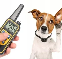 Електричний нашийник dog Training Collar DTC-800 анти гавкіт з пультом управління для контролю і дресирування собак, дресирувальний електронашийник