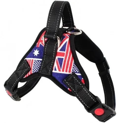 Нейлонова шлейка жилет для вигулу собак, цуценят Dog Harness Set нагрудний регульований ремінь для тварин з грудним обхватом для домашніх вихованців
