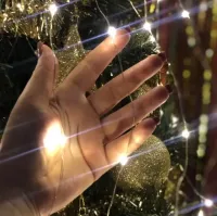 Внутрішня Світлодіодна гірлянда кінський хвіст 200led діодів 2 м 10 ниток Холодний білий для дому роса 10 струн по 2 метри USB Холодна Біла