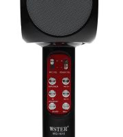 Бездротовий караоке мікрофон WSTER WS - 1816 Bluetooth USB AUX FM з вбудованою колонкою і 4 тембрами голосу на акумуляторі з динаміком Ws1816 Чорний
