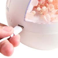 Акумуляторний зволожувач повітря Poke Ball Flower Humidifier OFAN-505 з квітами і LED підсвічуванням, Настільний аромадифузор нічник 220мл від USB