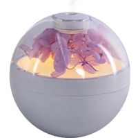 Акумуляторний зволожувач повітря Poke Ball Flower Humidifier OFAN-505 з квітами і LED підсвічуванням, Настільний аромадифузор нічник 220мл від USB