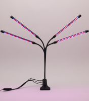 Светодиодная гибкая фитолампа Grow Light на 4 ветки для выращивания комнатных растений, светильник на 4 лампы роста рассады Полный спектр USB с таймером