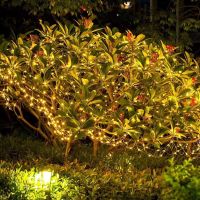 Уличная светодиодная гирлянда Solar String Lights 22 метра 200 LED диодов Теплый белый Роса Warm light с солнечной панелью для деревьев и веранд