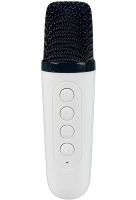 Портативный ночник с караоке Lightshow YS-110 настольная беспроводная лампа с Bluetooth колонкой, двумя микрофонами и светодиодной RGB подсветкой