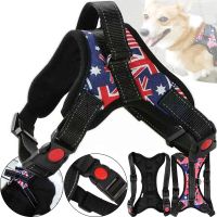 Нейлонова шлейка жилет для вигулу собак, цуценят Dog Harness Set нагрудний регульований ремінь для тварин з грудним обхватом для домашніх вихованців