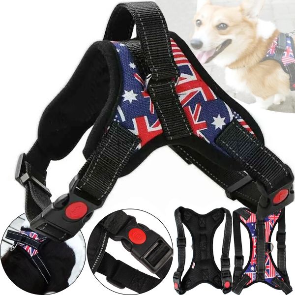 Нейлонова шлейка жилет для вигулу собак, цуценят Dog Harness Set нагрудний регульований ремінь для тварин з грудним обхватом для домашніх вихованців