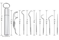 Набір для чищення зубів Dental Toothpick Set 7 в 1 портативний комплект інструментів зубочисток для догляду за порожниною рота в металевому футлярі