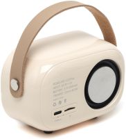 Детский беспроводной ретро караоке Pulse Platinum C20 Plus портативная водонепроницаемая Bluetooth колонка с микрофоном на аккумуляторе TF FM USB